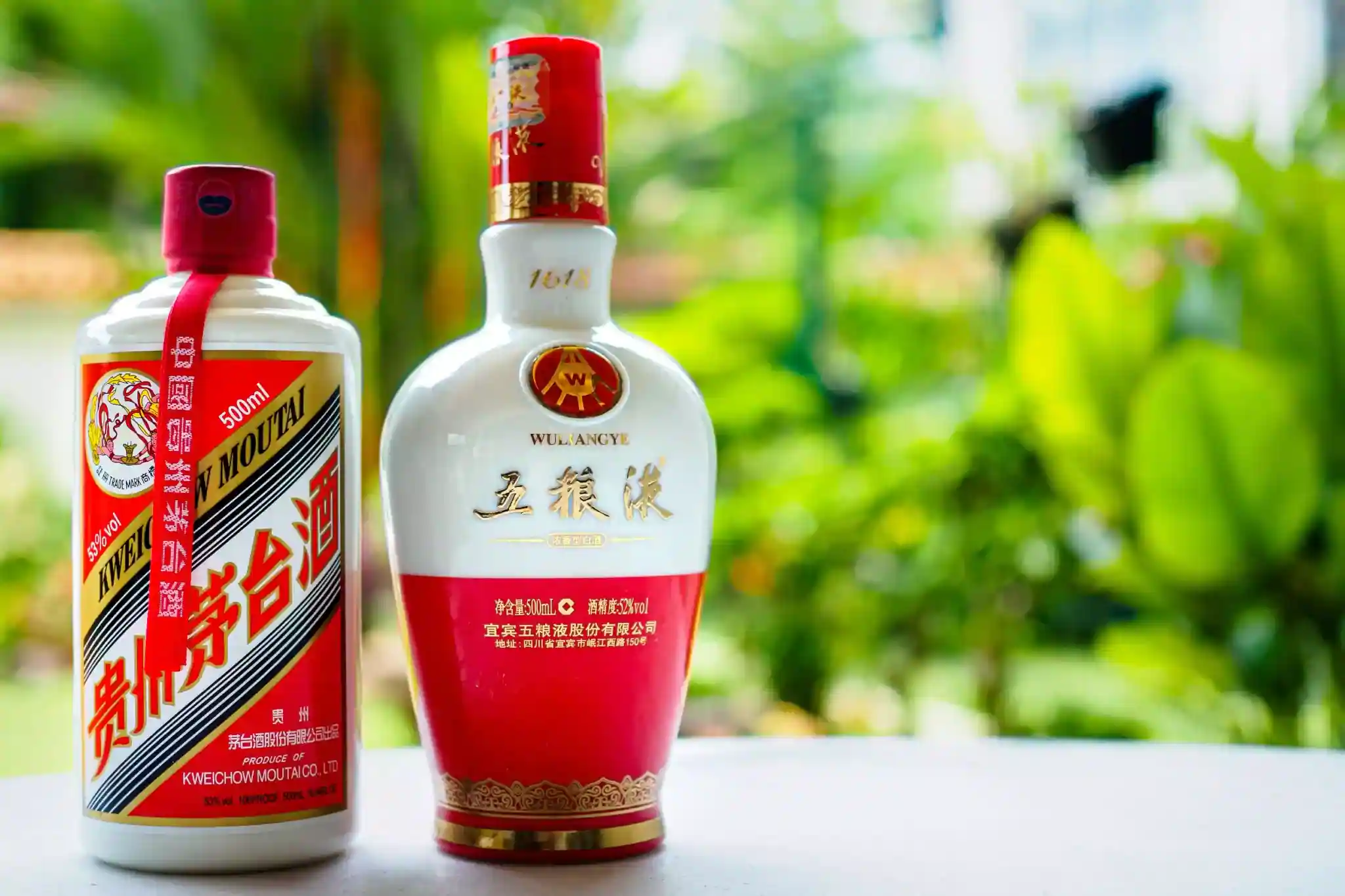 Baijiu Bliss: Exploring the Elegance and Heritage of China's Iconic Spirit